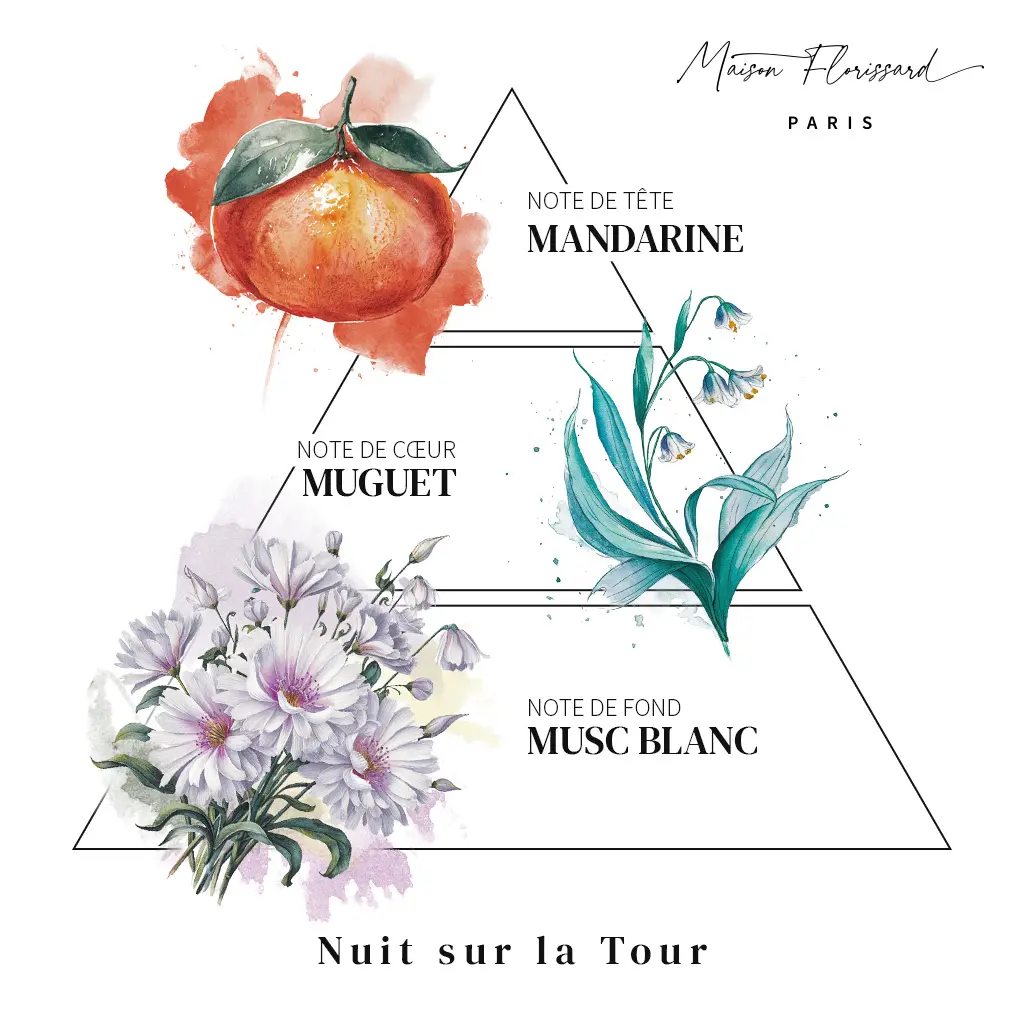 PARFUM pyramide olfactive 02