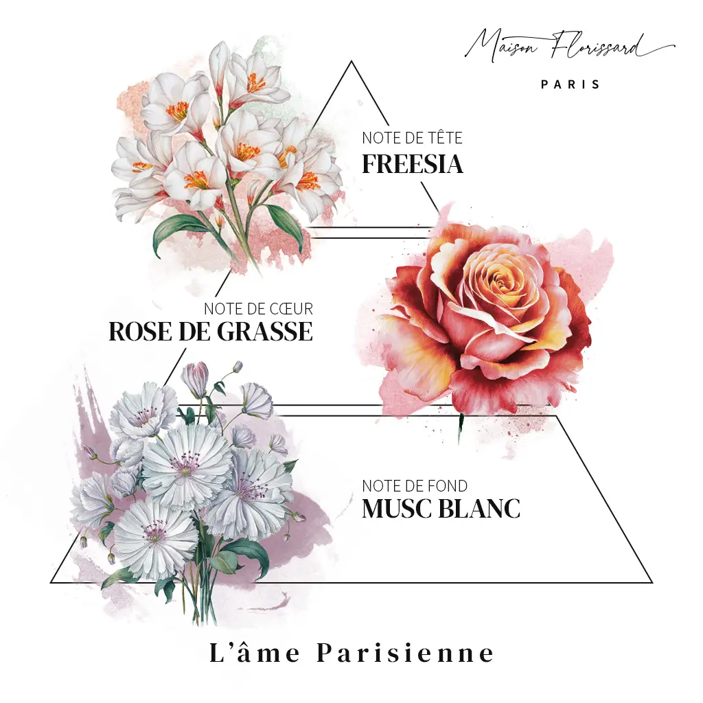 PARFUM pyramide olfactive 04
